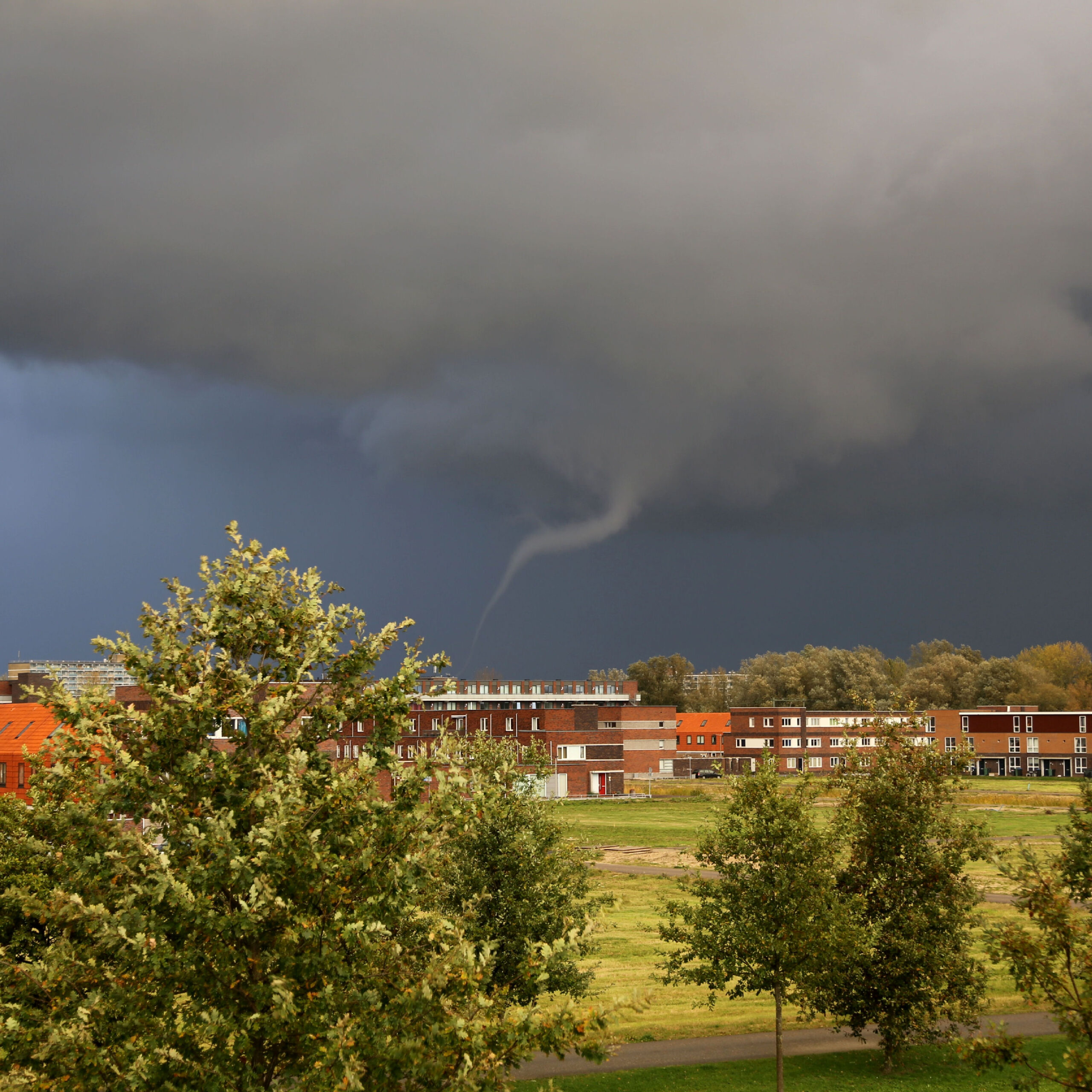 Bomen blokkeren al jaren buienradar richting Arnhem